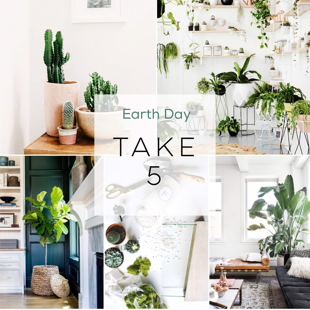 Take 5 – Earth Day Edition