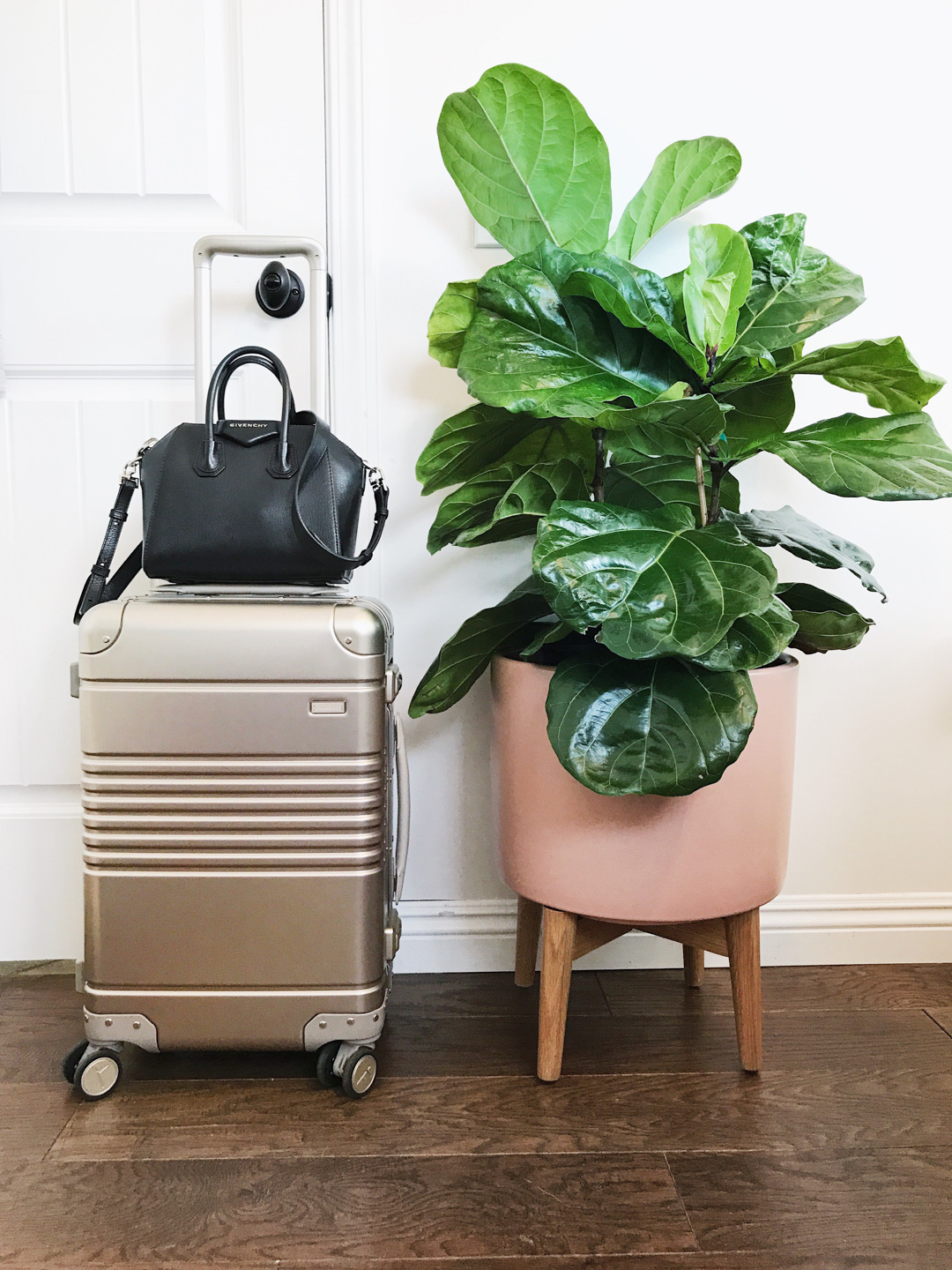 Arlo Skye Carry-On Luggage in Champagne