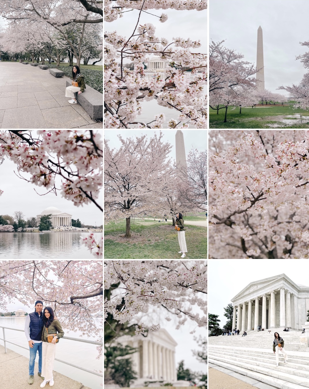Cherry Blossom Diaries